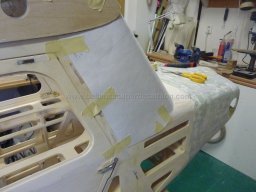 Canopy (27)